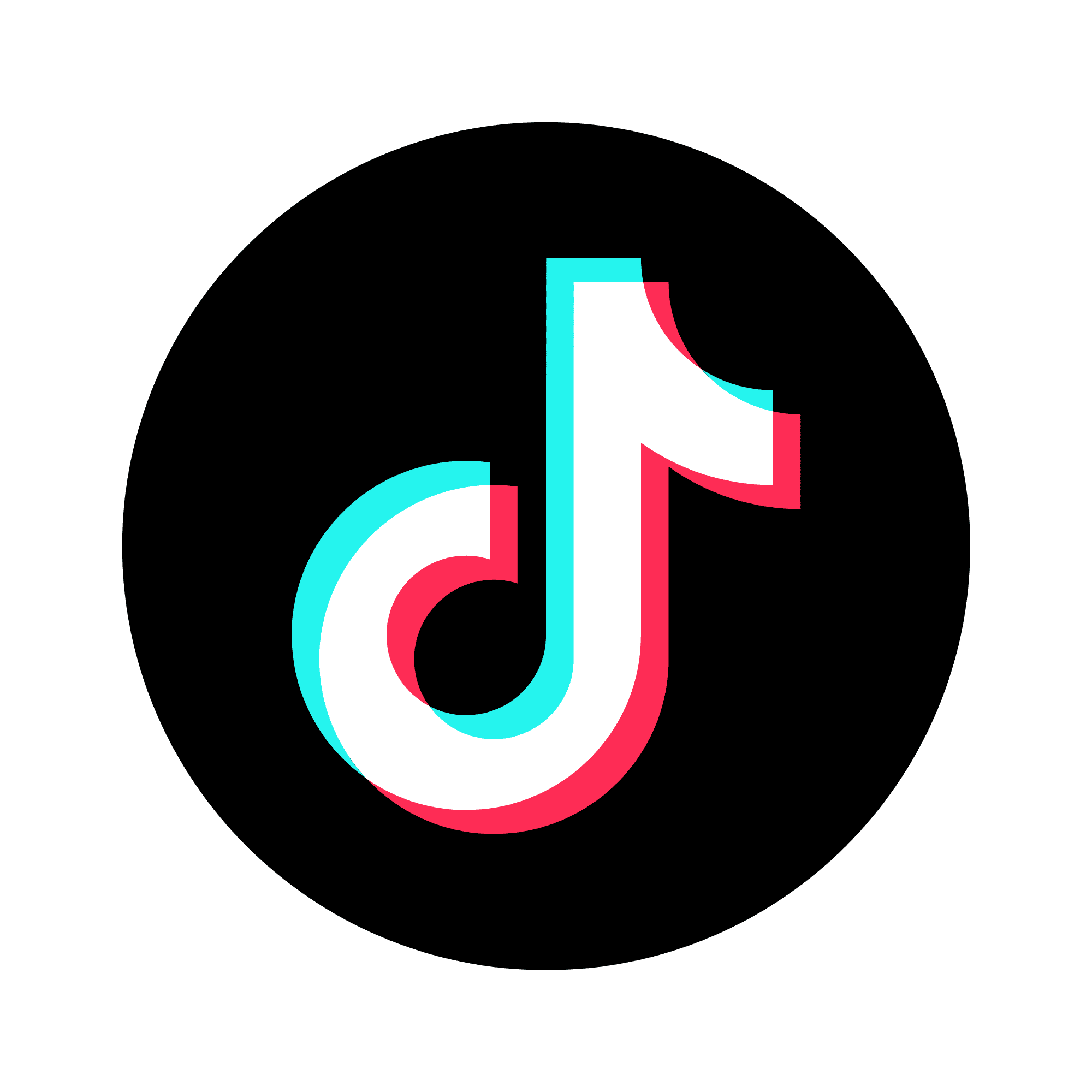 Icon TikTok